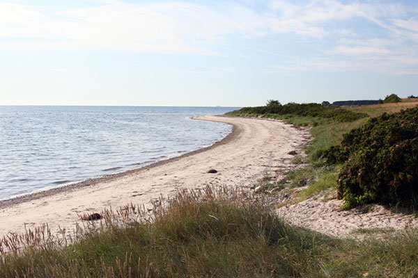 Udsigt langs kysten