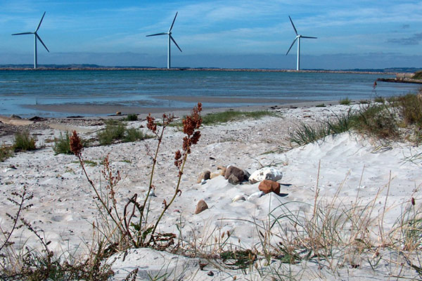 Vindmøller ved færgehavnen
