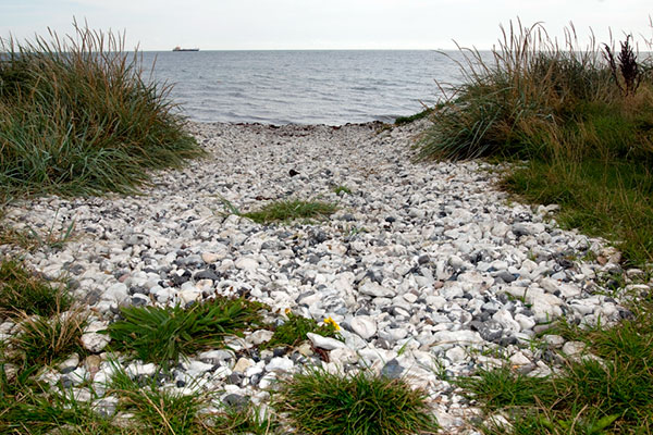 Udsigt fra stranden