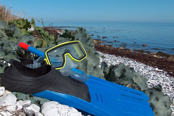Snorkleudstyr på stranden