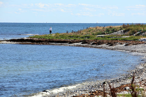 Udsigt langs stranden