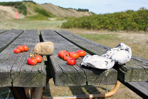 Sten og hyben på bord