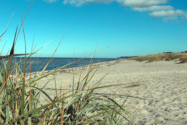 Udsigt langs stranden