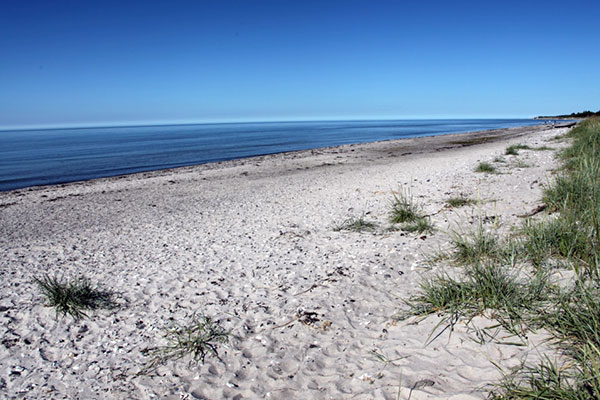 Udsigt langs stranden