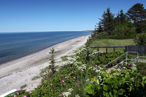 Udsigt langs stranden