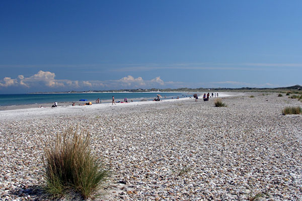 Udsigt langs stranden