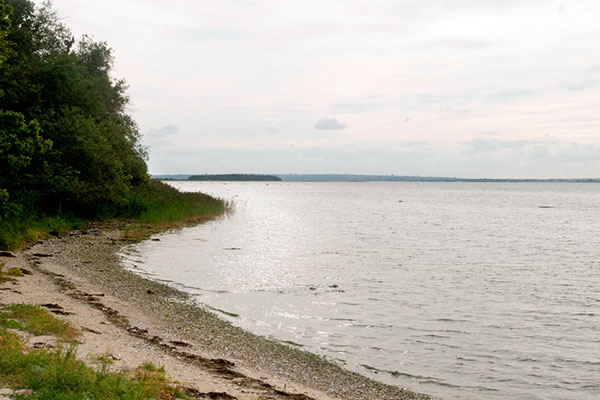 Udsigt langs kysten