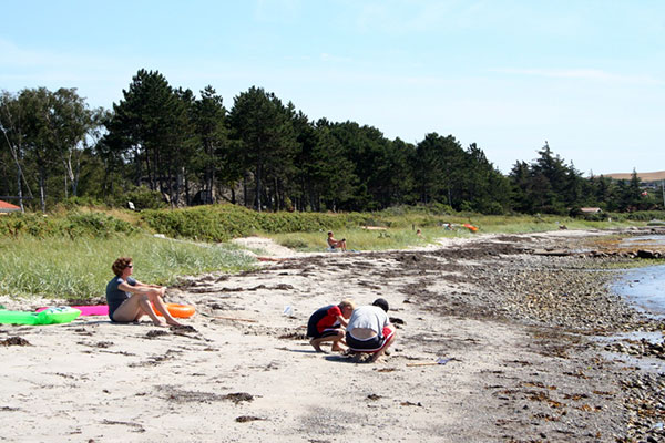Leg på stranden