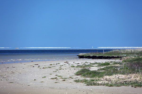 Stranden