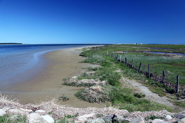 Stranden