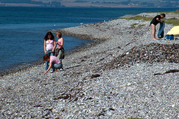 Aktivitet på stranden