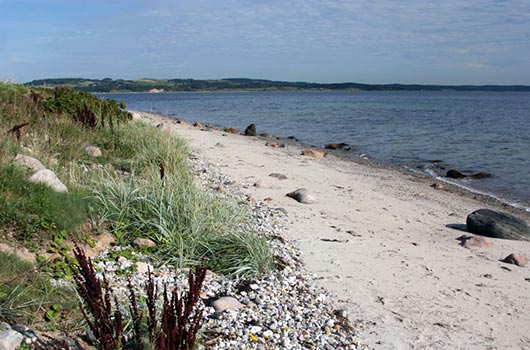 Udsigt langs stranden