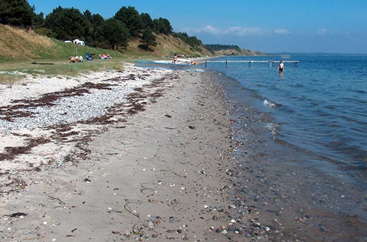 Udsigt langs stranden