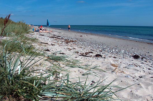 Udsigt langs stranden