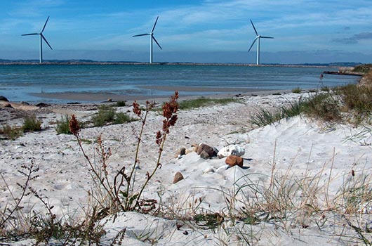 Vindmøller ved færgehavnen
