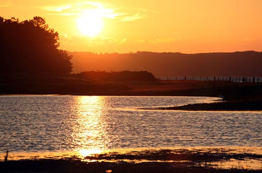 Solnedgang