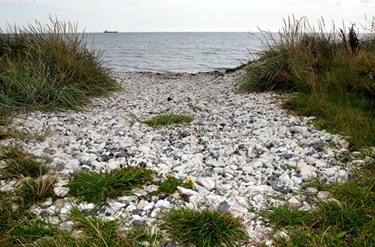 Udsigt fra stranden