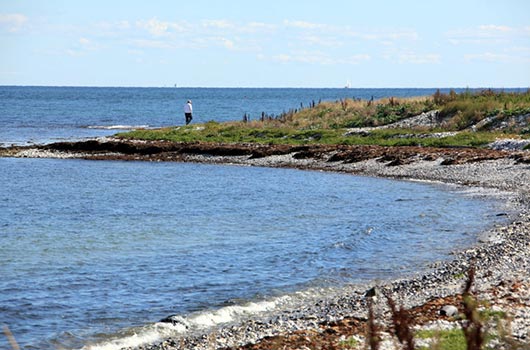 Udsigt langs stranden