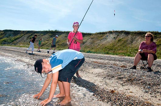 Aktivitet i strandkanten