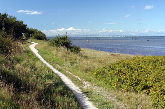 Udsigt langs stranden