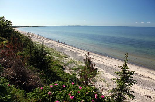 Udsigt langs stranden