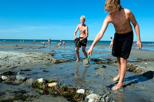 Dæmning i sandet