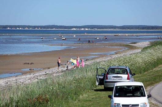 Aktivitet på stranden