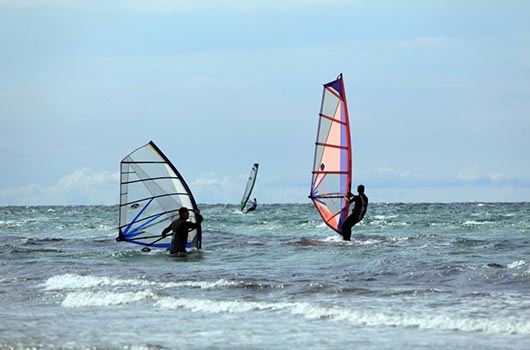Windsurfer