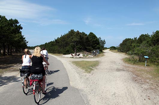 Cyklende til stranden