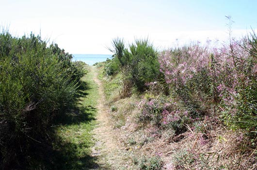 Adgang til stranden