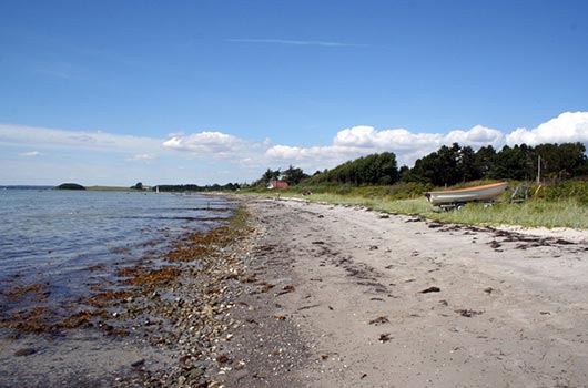 Udsigt langs stranden