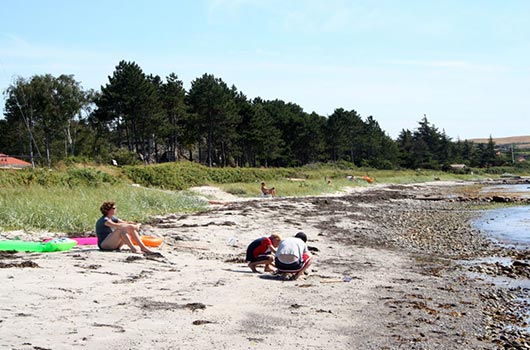 Leg på stranden