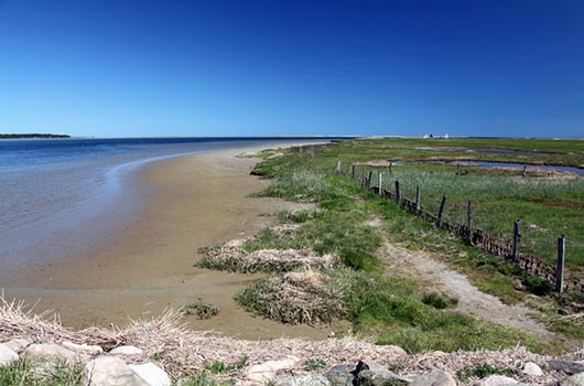 Stranden