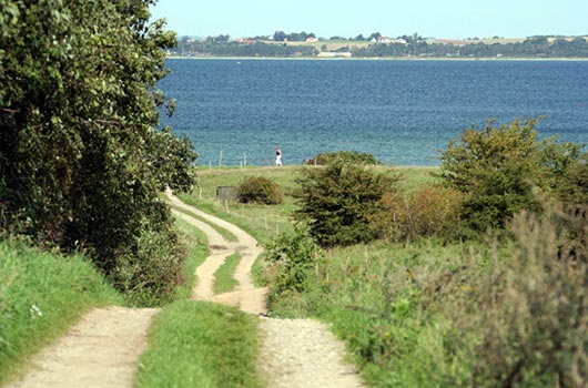 Adgang til stranden