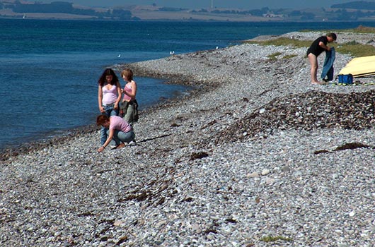 Aktivitet på stranden