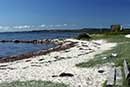 Udsigt langs stranden