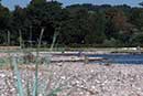 Stranden