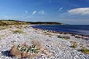 Udsigt langs stranden