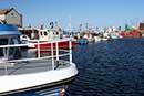 Både i Grenaa Havn