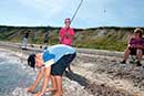 Aktivitet i strandkanten