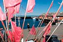 Stemning på havnen