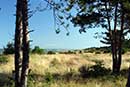FDM Hegedal Strand Camping