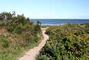 Dalgård Camping Strand
