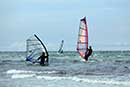 Windsurfer