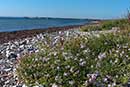 Bjødstrup Strand