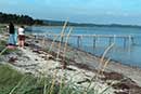 Stranden