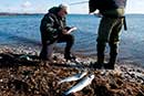 Lystfiskere på stranden